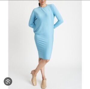 Kit and Ace Wave Brushed Long Sleeve Dress Topaz size S